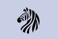 Zorse Game